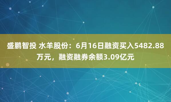 盛鹏智投 水羊股份：6月16日融资买入5482.88万元，融资融券余额3.09亿元
