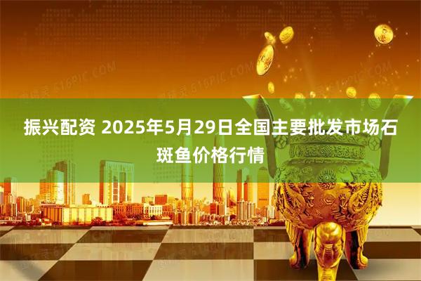 振兴配资 2025年5月29日全国主要批发市场石斑鱼价格行情