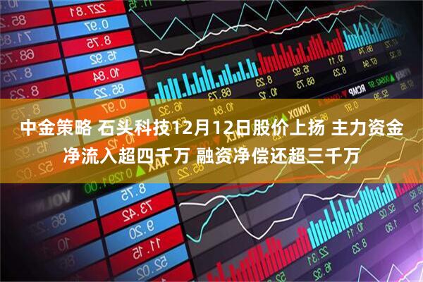 中金策略 石头科技12月12日股价上扬 主力资金净流入超四千万 融资净偿还超三千万